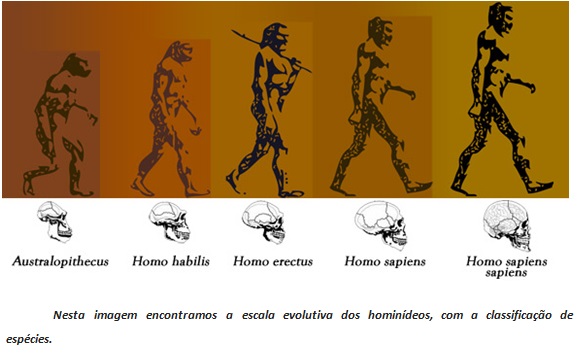 Primeiros Hominideos Para Criancas Relógio Eras Geológicas Jogo